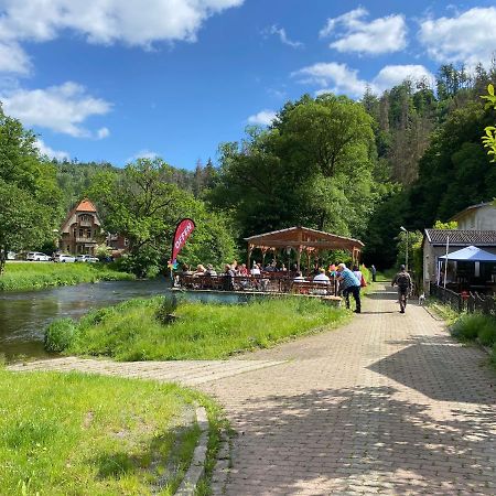 Pension Sternschnuppe, Treseburg Harz, Unmittelbar Am Wasser Thale Extérieur photo